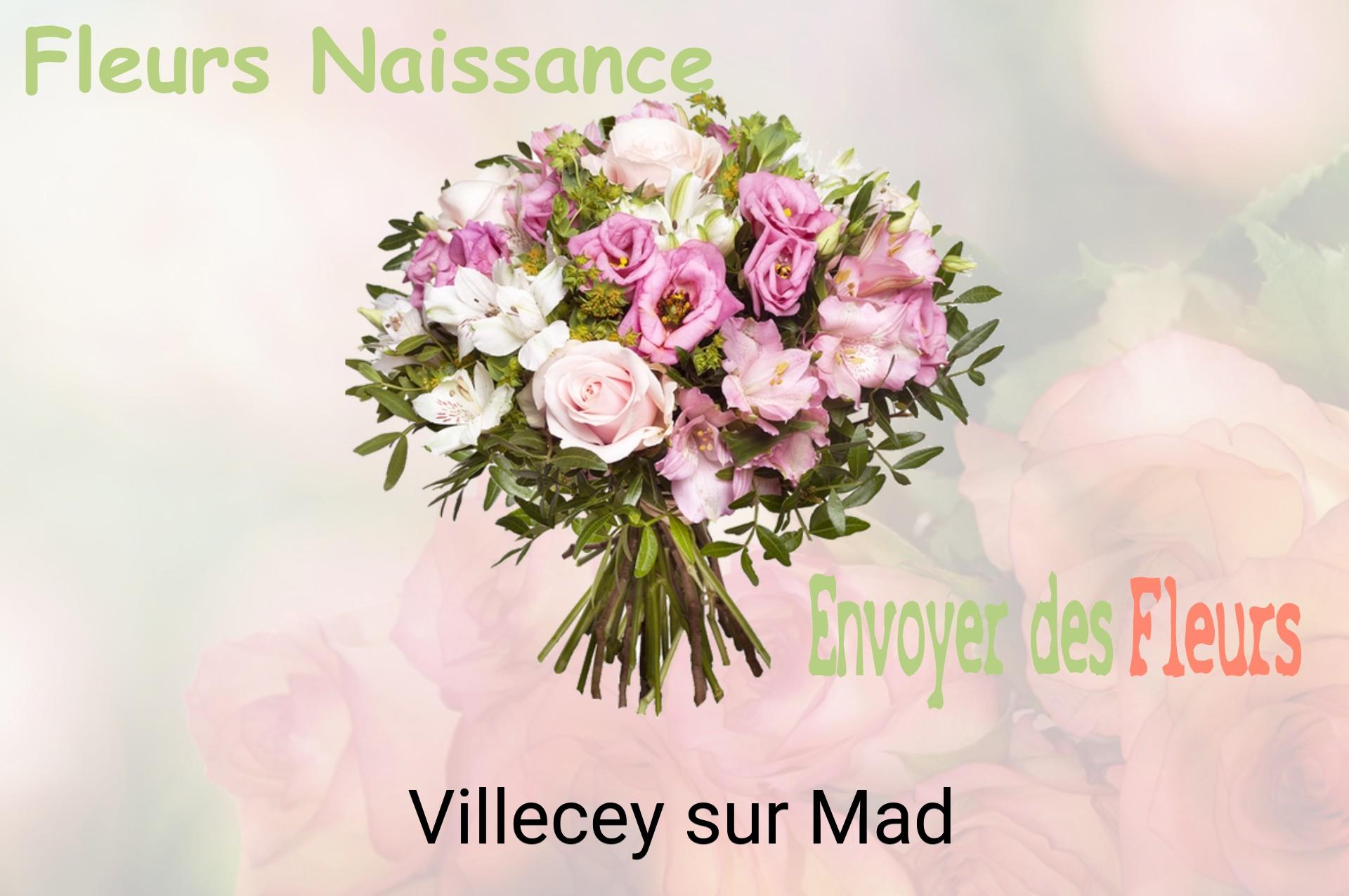 Bouquet de fleurs de naissance livré à Villecey-sur-Mad